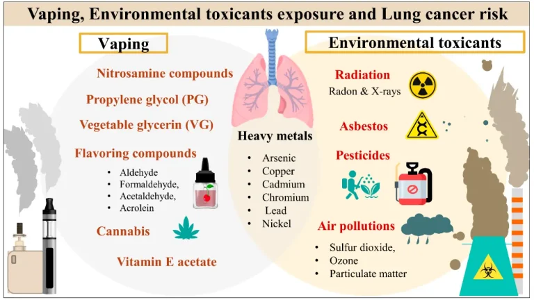 Hidden Dangers of Air Conditioning: How Prolonged AC Use Can Harm Your Lungs and Overall Health