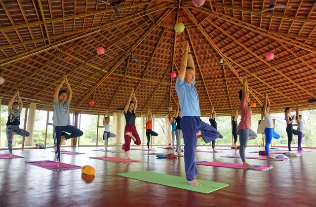 Ashtanga Yoga Retreats in Mysore