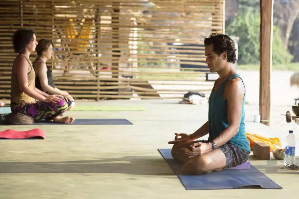 Why a Detox Yoga Retreat in India