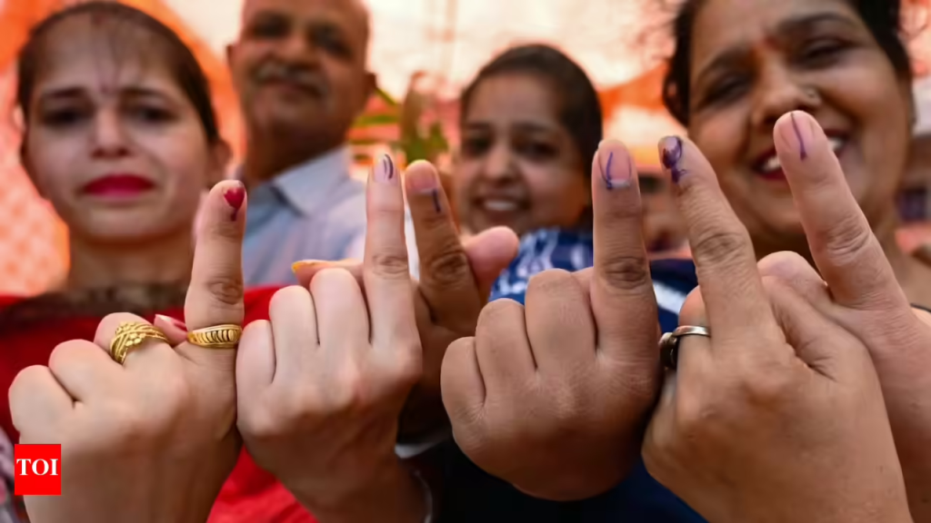 Bihar Electoral Roll Update 2025