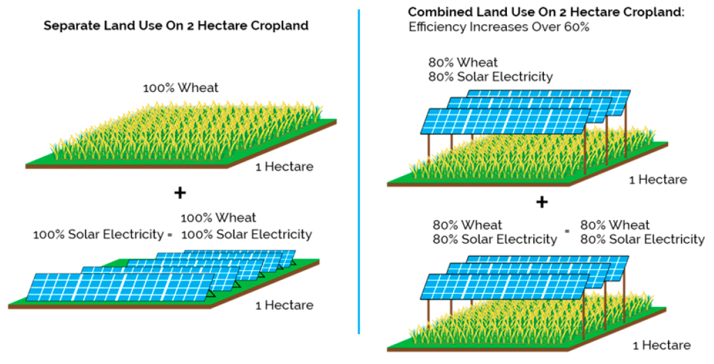 Solar Safety 101